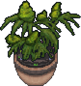 Hell's Mouth Weed Plant Pixel Art