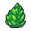 Strain 10