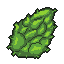 Strain 12